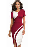 Elegant Stylish Contrast Color Patchwork Business Bodycon Women Dress